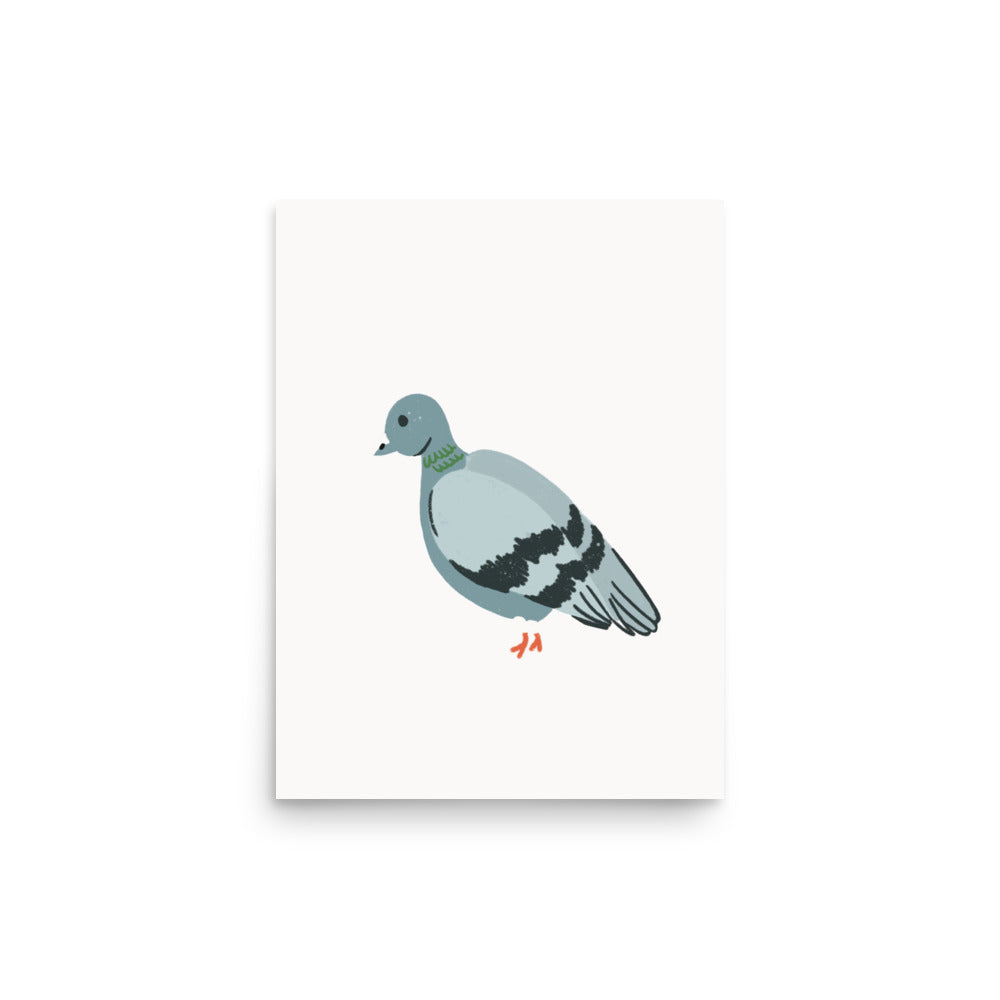 Pigeon (NYC Collection)